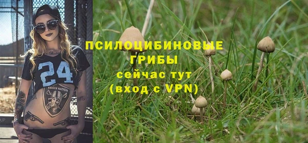 героин Бородино